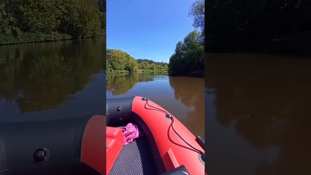 Едем на остров чибиса смотреть онлайн