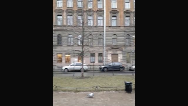Санкт-Петербург. Улица Пушкинская.
