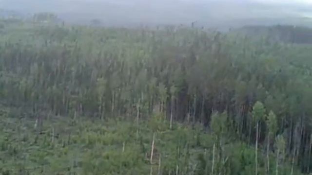 Фильм дорога домой смотреть онлайн