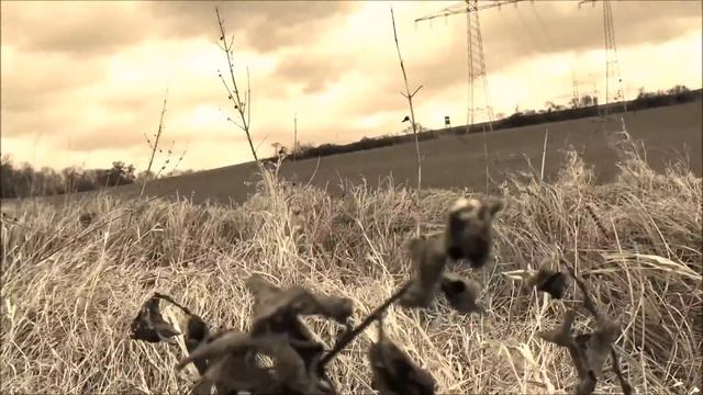 Windcast смотреть онлайн