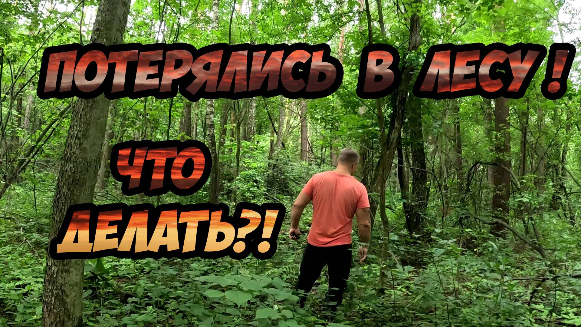 Потерялись в лесу - что делать?!