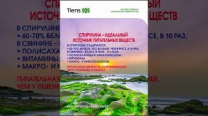 Спирулина тяньши и иммунитет(3)