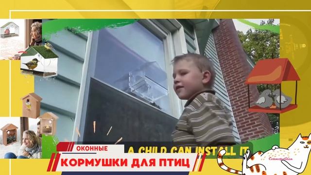 Оконные кормушки для птиц / товары Cosmopolitan смотреть онлайн