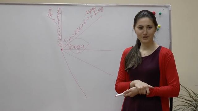 Основы крепкого иммунитета смотреть онлайн