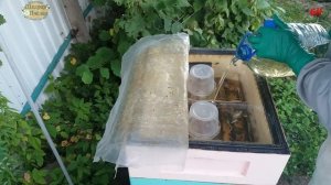 пчеловодство закорм пчел в зиму пэт кормушки