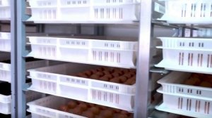 Производство_jump