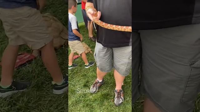 Осенний фестиваль в Америке. Где всё бесплатно? смотреть онлайн