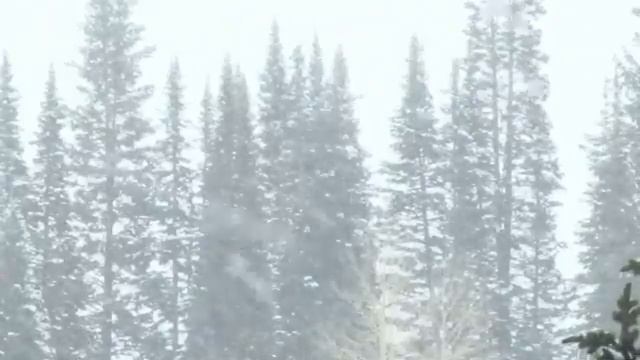 Звуки метели для глубокого сна / Звуки метели с воющим звуком ветра / Сильная Метель и Пурга смотреть онлайн