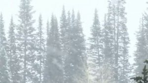Звуки метели для глубокого сна / Звуки метели с воющим звуком ветра / Сильная Метель и Пурга