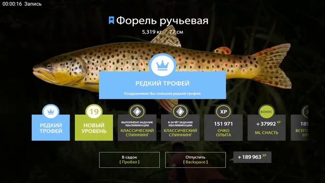 #РР4 форель ручьевая редкий трофей