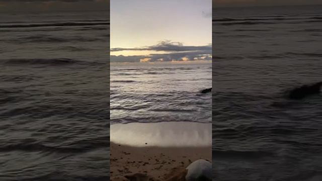 Guess whos sleeping on the beach?!?!