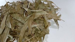 Эвкалипт лист