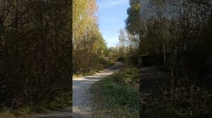 Обзор лодочной станции. Скнятинское охотхозяйство. Тверская обл.