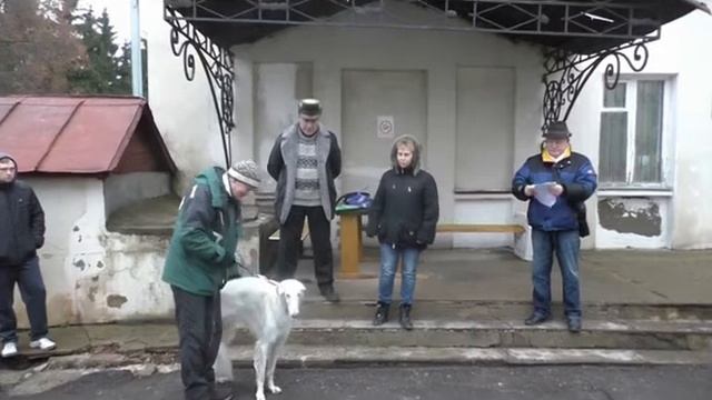 Видео сюжет Под звуки Першинских рогов снято в 2017 году