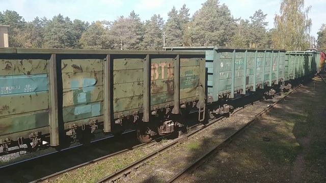 Чмэ3-4616 вывозит вагоны с первого завода на ст полотняный завод