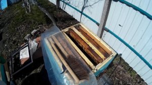 пчеловодство расширение семьи на 145 рамке установка 3 и 4 корпуса