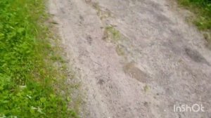 Конная прогулка по окрестностям Кисловодска