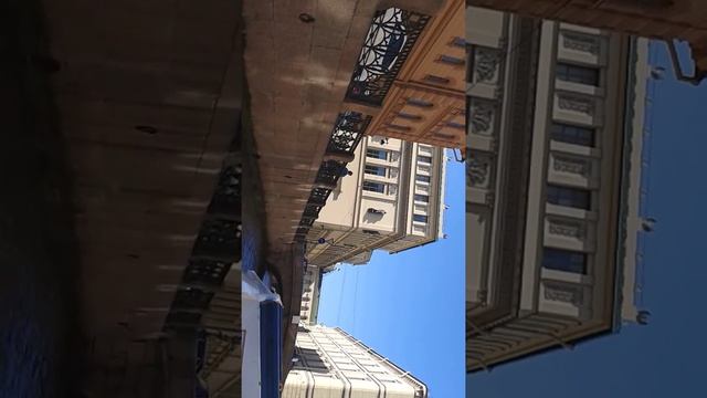 Питер ,речной трамвайчик