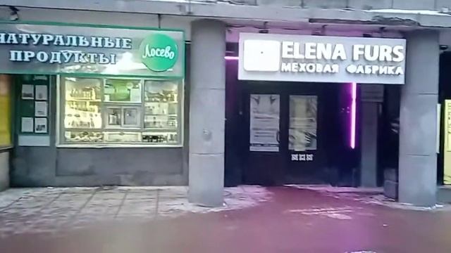 Каменноостровский, 42. обзор