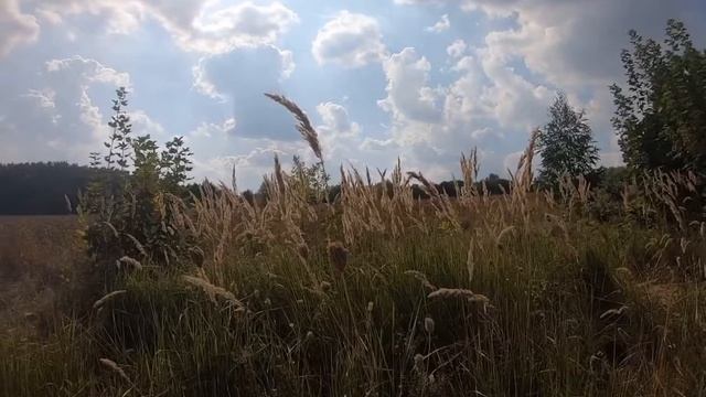 Пирогово смотреть онлайн