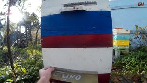 ПЧЕЛОВОДСТВО. ЗАЩИТА ОТ СИНИЦ, ЗИМОВКА НА ВОЛЕ, СОКРАЩЕНИЕ ЛЕТКОВ