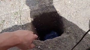 Забор_1, (10.05.23) Установка заливка арматуры под столбики