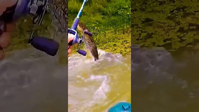 #Сом на #блесну #рыбалка2023 смотреть онлайн