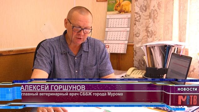 Сухарь Вакцинация птичий грипп смотреть онлайн