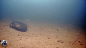 Ловля окуня на блесну. Как маропедка ведет себя под водой.