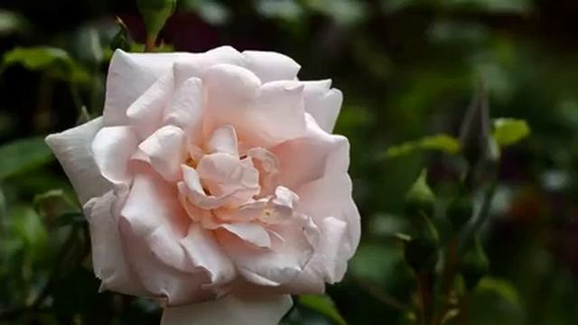 Сборник новых русских хитов музыки и фото онлайн смотреть онлайн