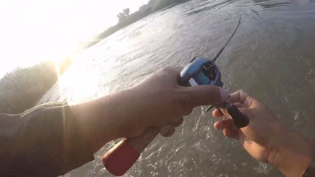 Jackson r.a pop vs hampara смотреть онлайн