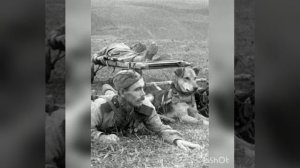 Ольга Мальцева-Арзиани  "Щенок младшего лейтенанта"  читает Елена Ромашкина актриса  Драмтеатра ТОФ