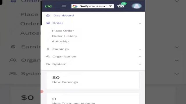 Как сделать заказ на продукты клеточного питания в Bepic? смотреть онлайн