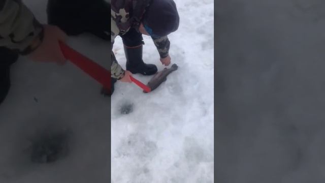 1 февраля на пасту от рыбацкого🏆😁🤝 кордона смотреть онлайн