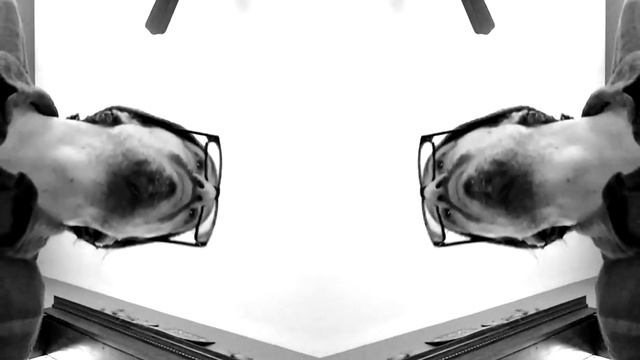 Philip Glass Etude смотреть онлайн