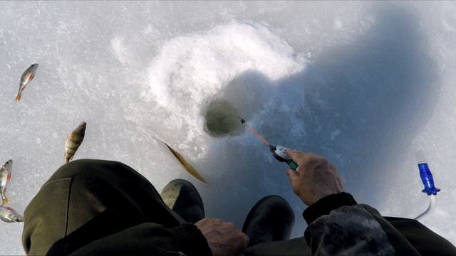 РЫБАЛКА по последнему Льду (19. 03. 2024)#winter #fishing #зимняяловлярыбы