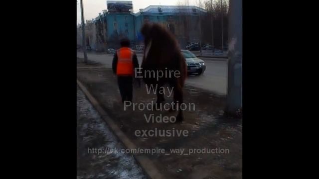 Empire Way Production - Верблюд на улицах Екатеринбурга смотреть онлайн