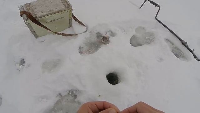Окунь на мормышку зимой