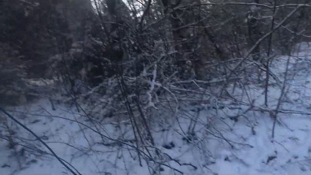Рыбалка Осень Жерлицы