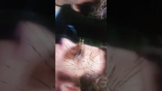 Сергей сарычев чудо тройка смотреть онлайн