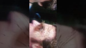 Сергей сарычев чудо тройка