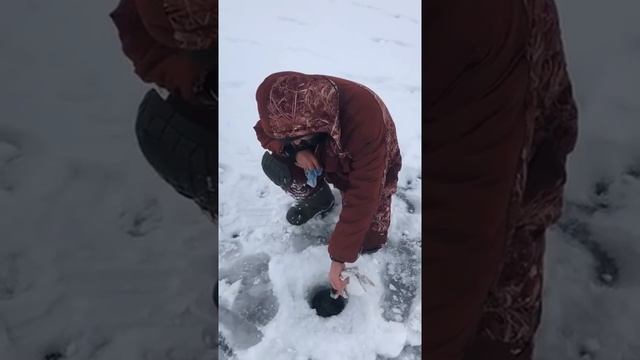 Пензенец целует рыбу смотреть онлайн