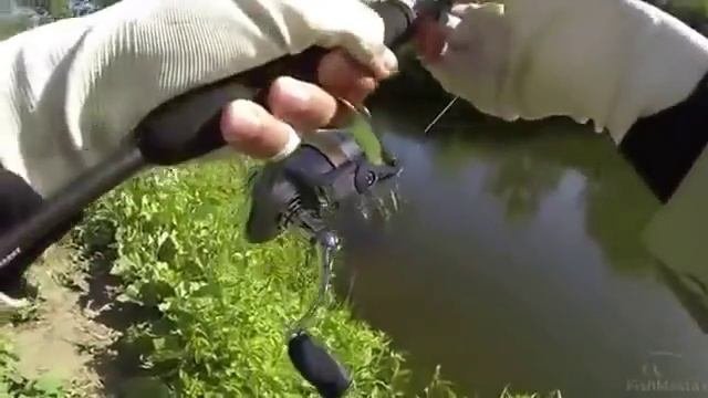 Голавль на спиннинг