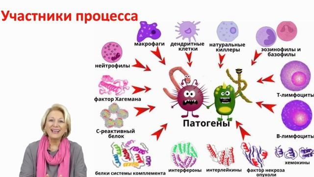 Как работает иммунитет|Тайны иммунитета.