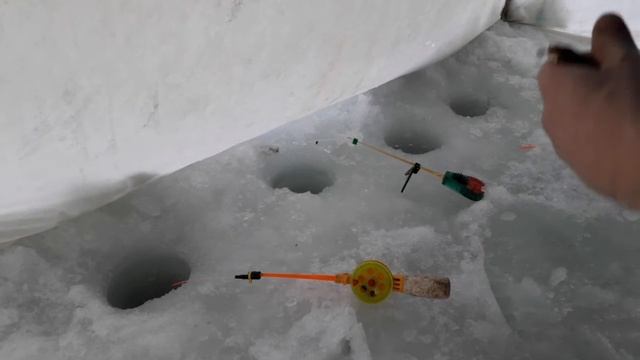 ЕЛЕЦ смотреть онлайн