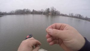 Chubby Spinnerbait Bass