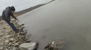 Как поймать Мегалодона??? Шок!!!