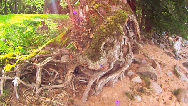 Петергоф смотреть онлайн