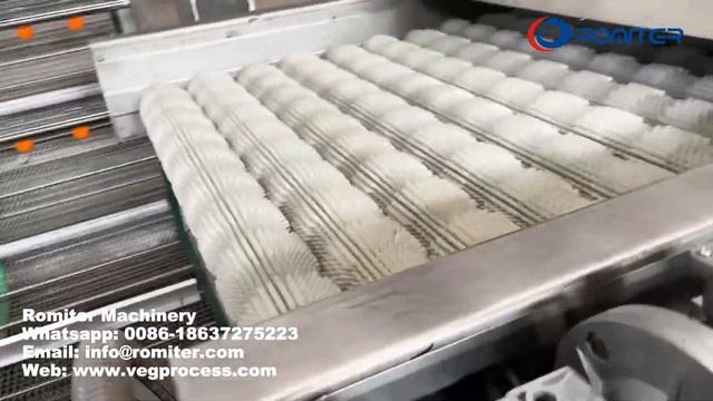 Автоматическая машина для мойки фруктов
