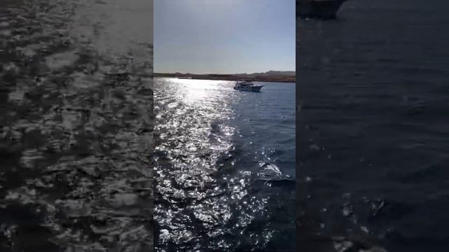 Яхта Русалка в Шарм эль Шейх